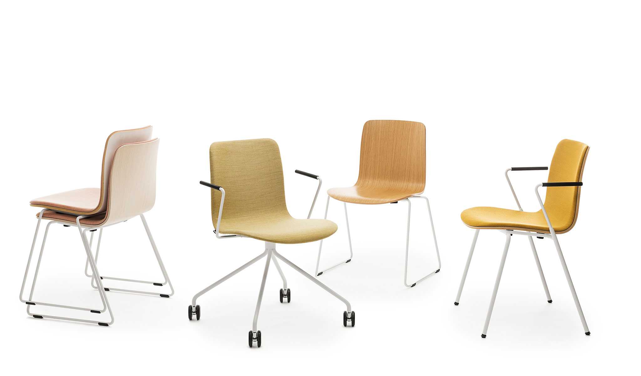 Sola family of chairs