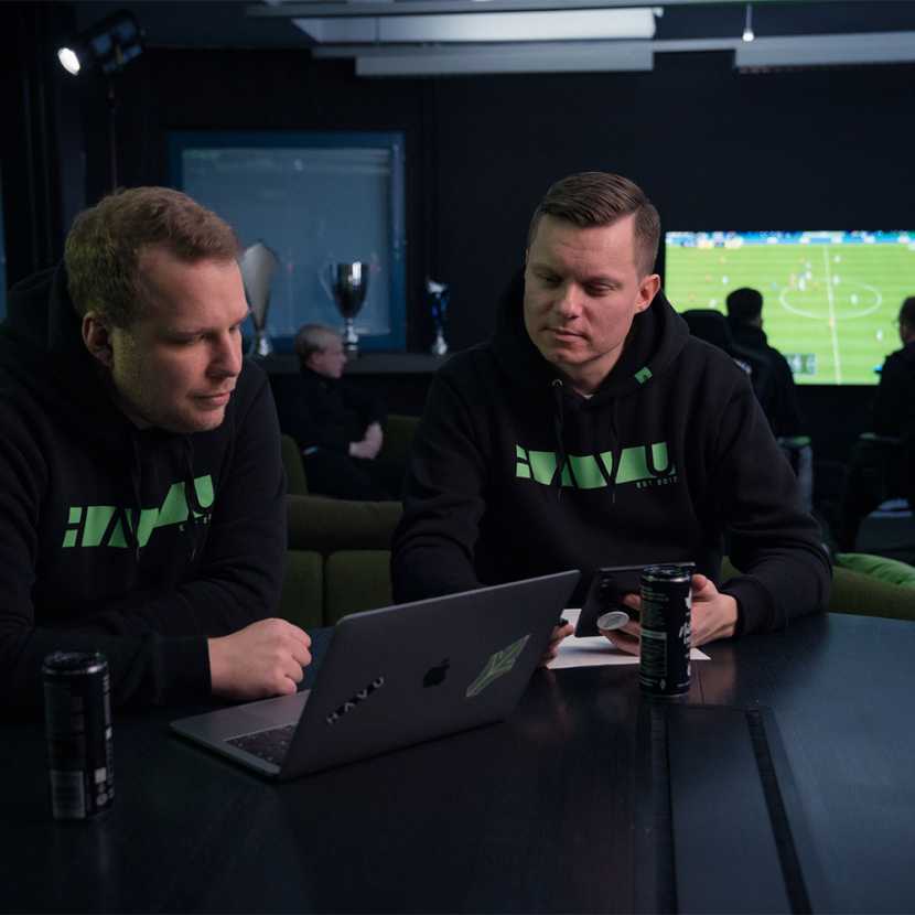 HAVU Gaming