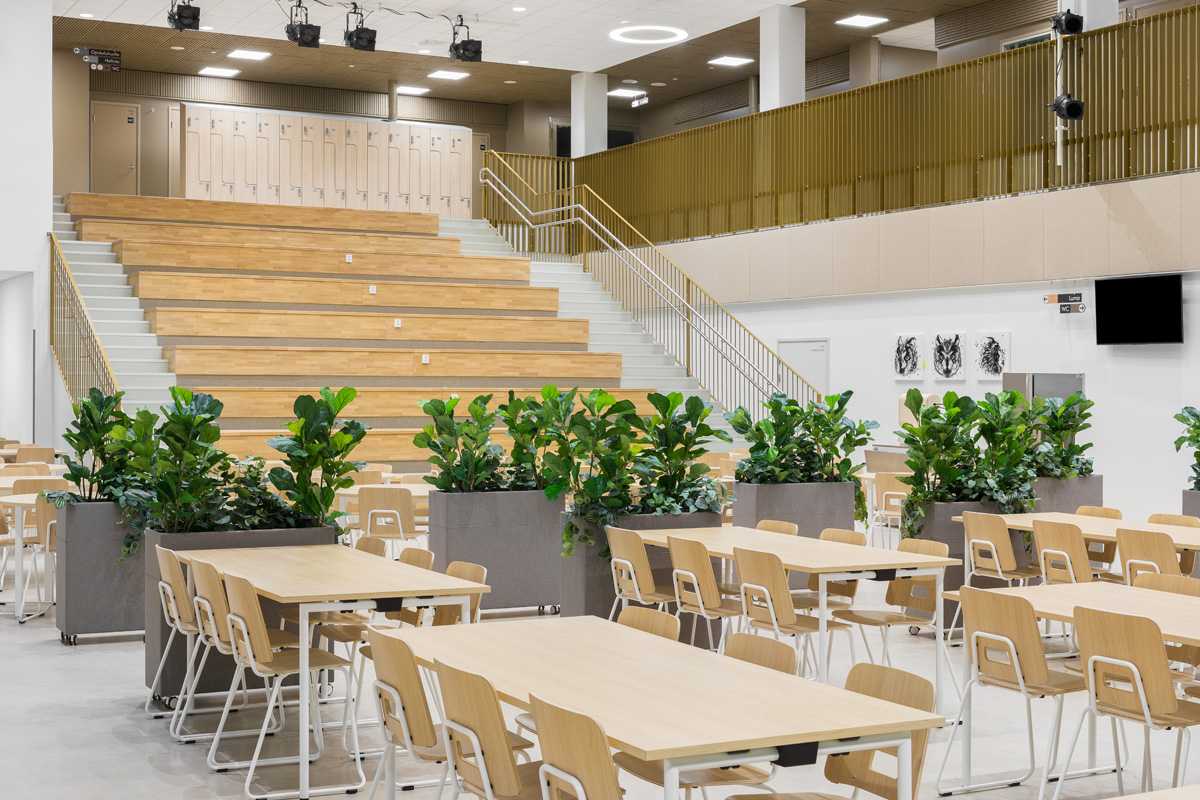 Seitsemän veljeksen school