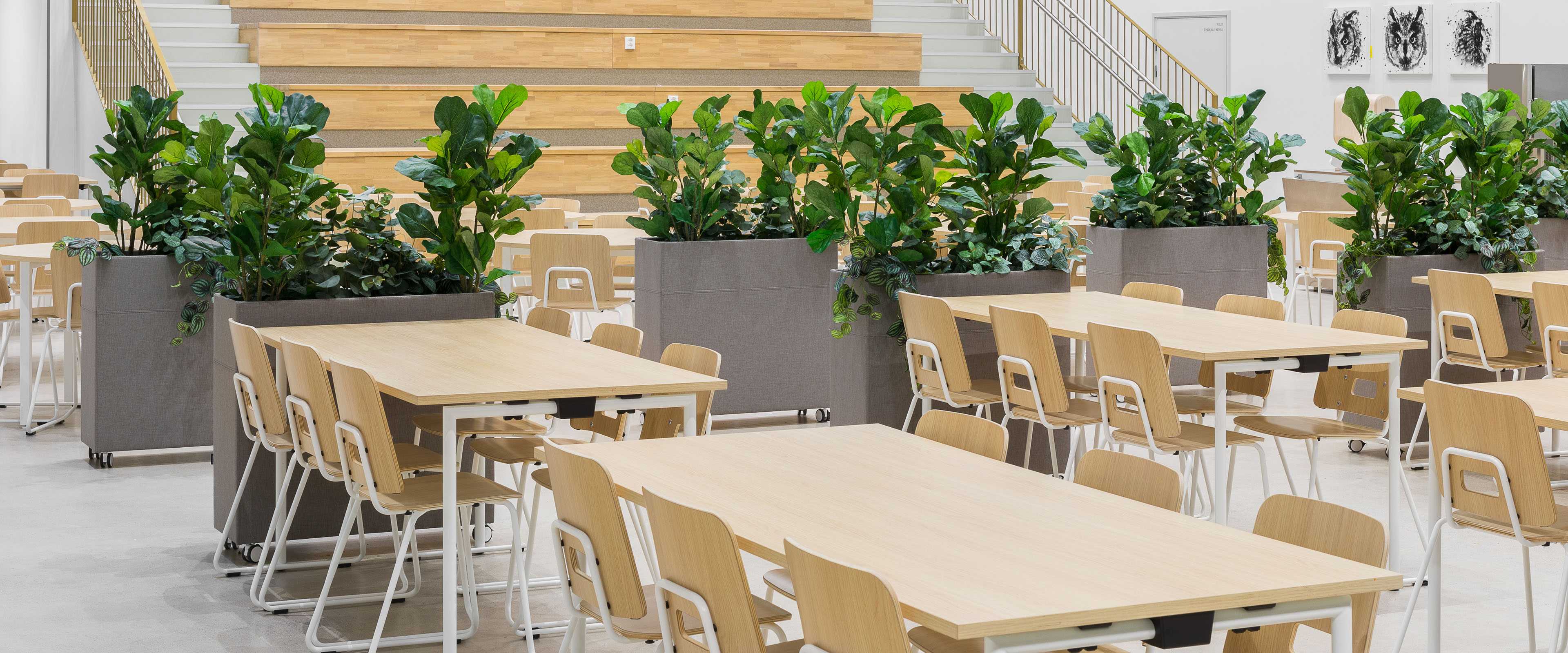 Seitsemän veljeksen school